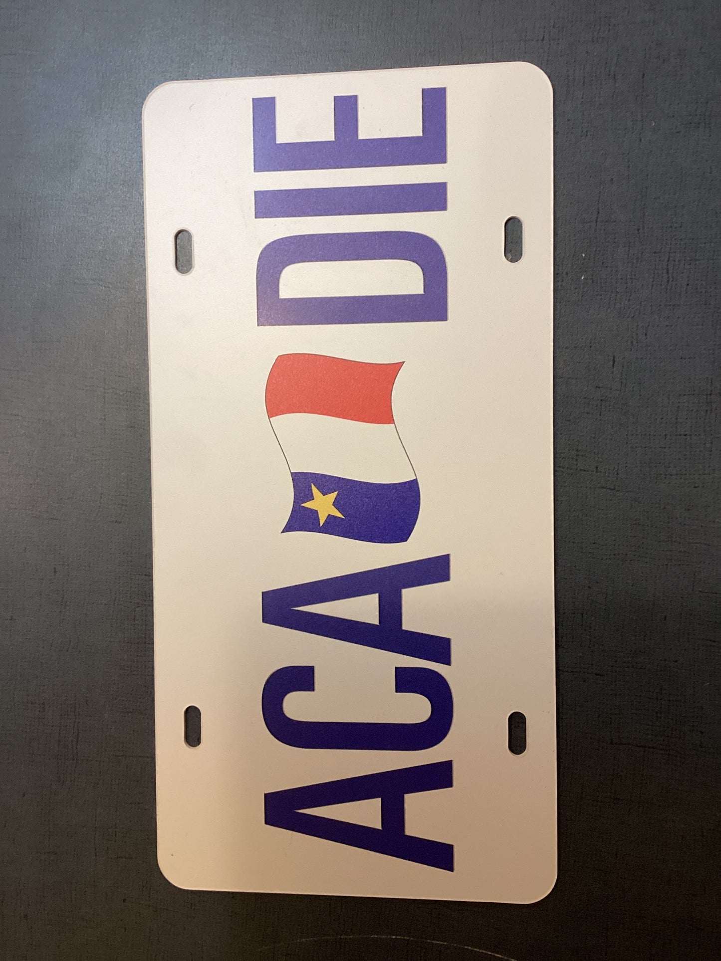 Plaque d'immatriculation de l'Acadie avec drapeau acadien