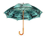 Umbrella: Loon Double Layer