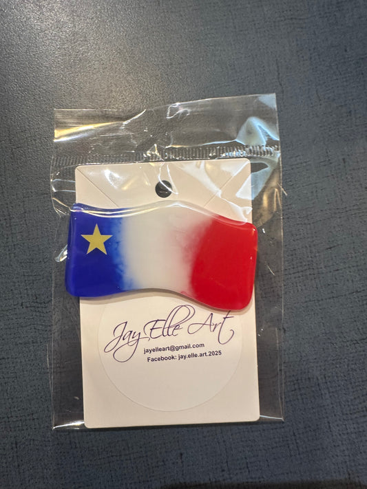 Lapel Pin: Waving Acadian Flag