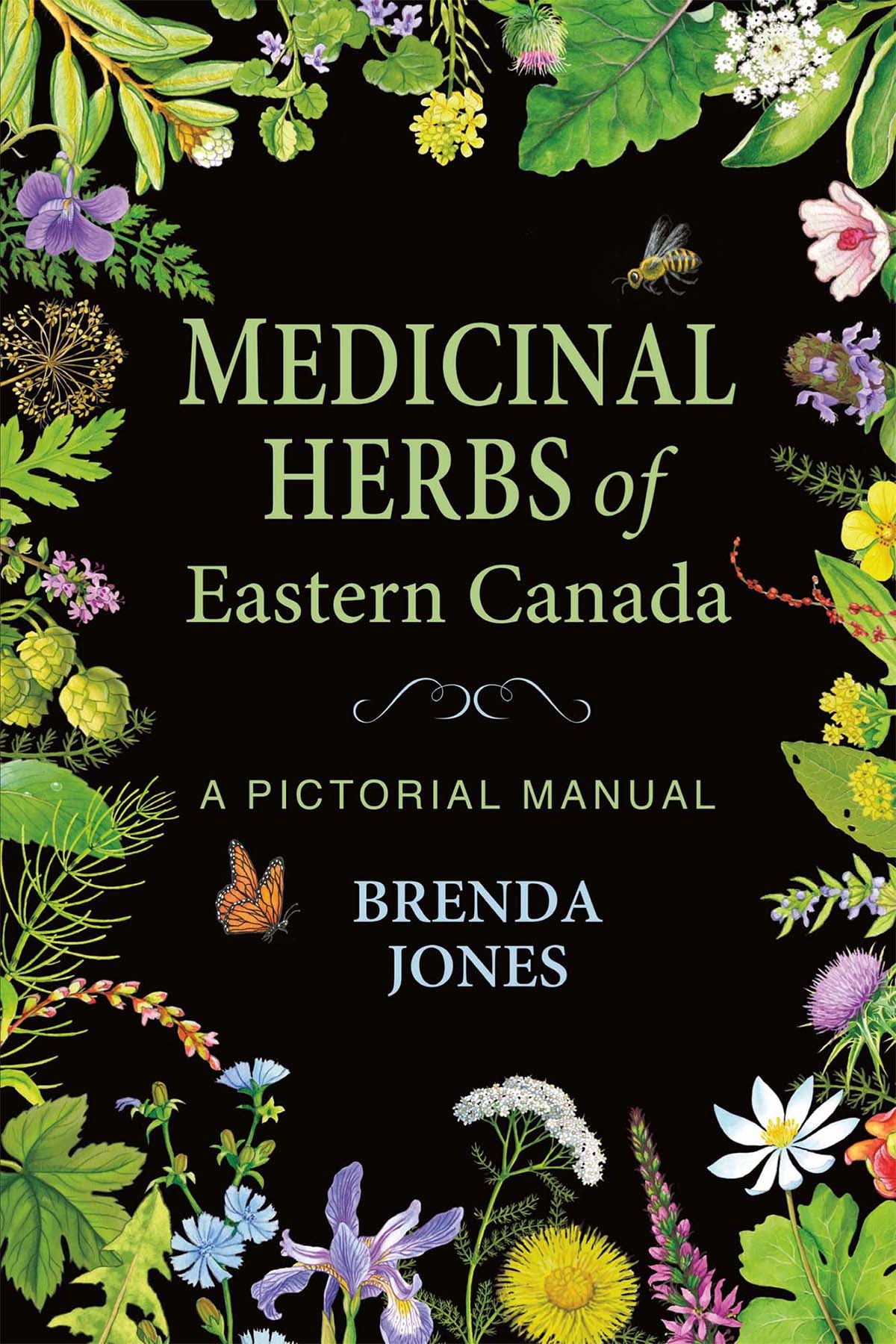 Herbes médicinales de l'Est du Canada