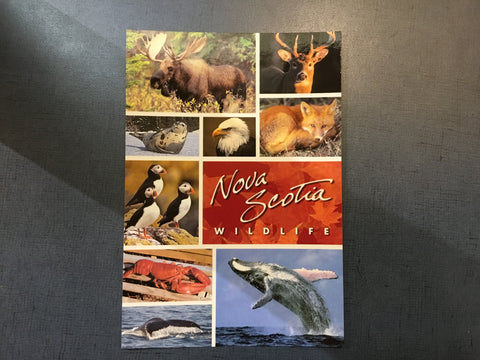 Postcard: 5x7 Wildlife of NS