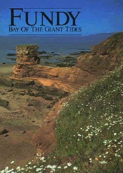 Fundy Bay of The Giant Tides (2ND EDITION)