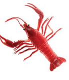 Squirt Lobster: 5" red lobster