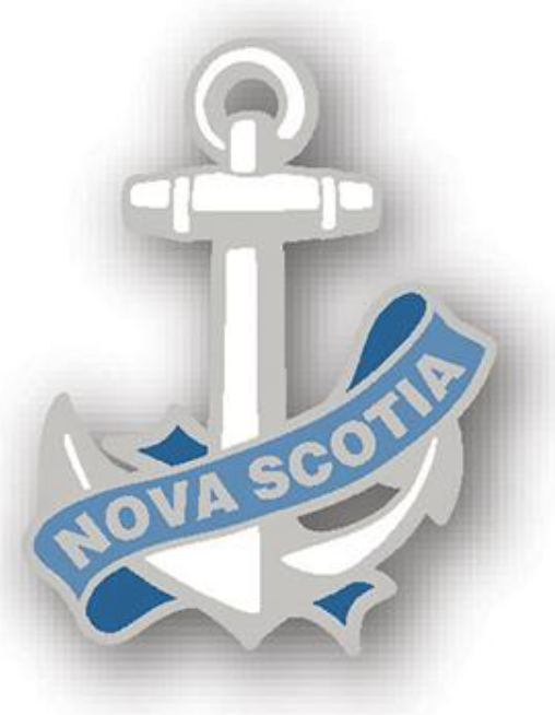 Épinglette : Ancre Banner NS