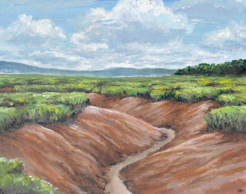 Greeting Card: Low Tide on the Minas Basin by Champ Turner