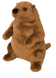 Cuddle Toy: Mr G Groundhog