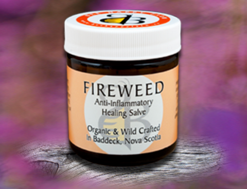 Fireweed: Anti-Inflammatory Soothing Salve