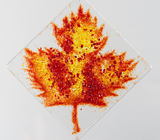 Fused Glass Ornament: Maple Leaf 3" Square Handmade in Nova Scotia