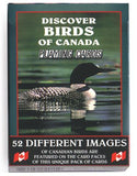Playing Cards: Discover Birds of Canada