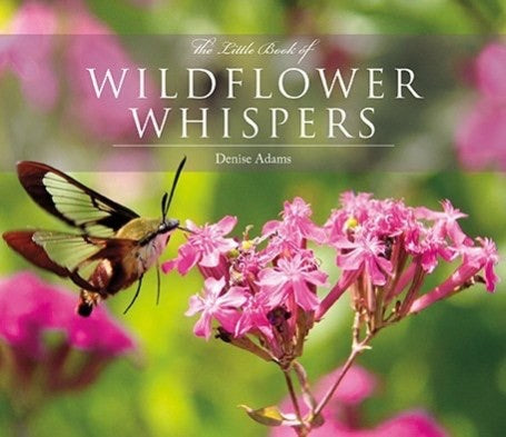The Little Book of Wildflower Whispers