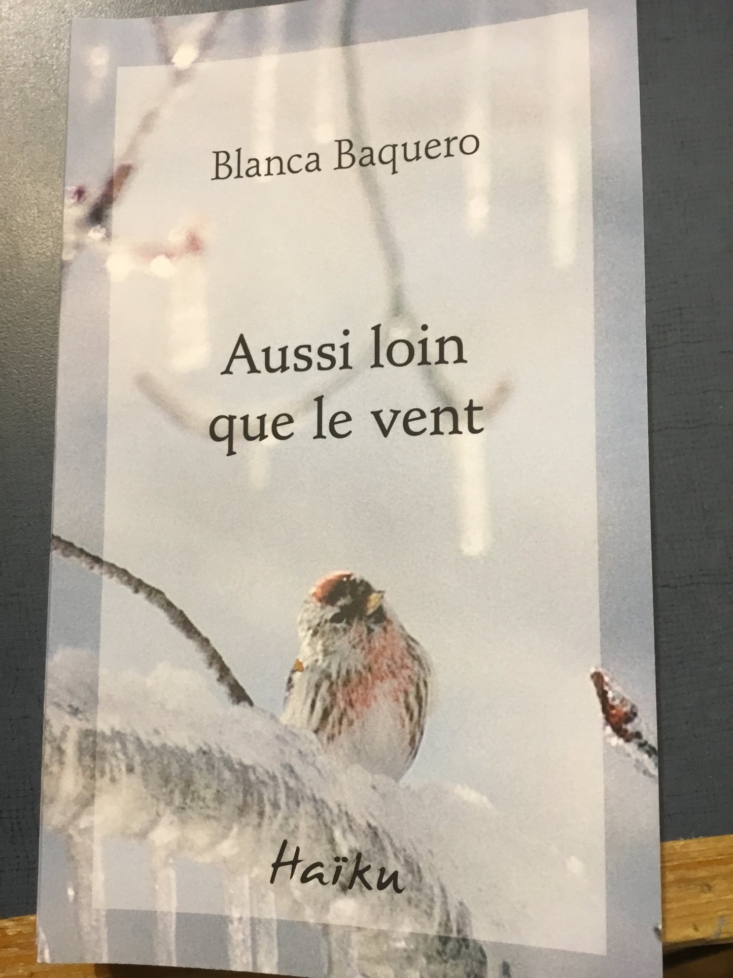 Aussi loin que le vent